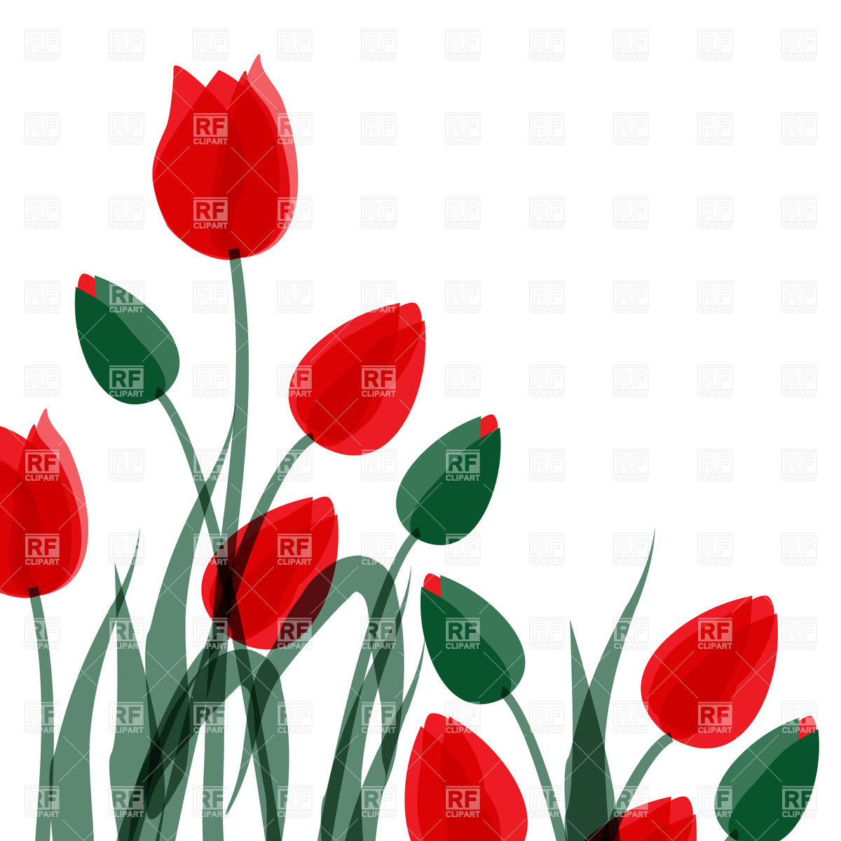 Flowers   Red And Green Tulips Download Royalty Free Vector Clipart    