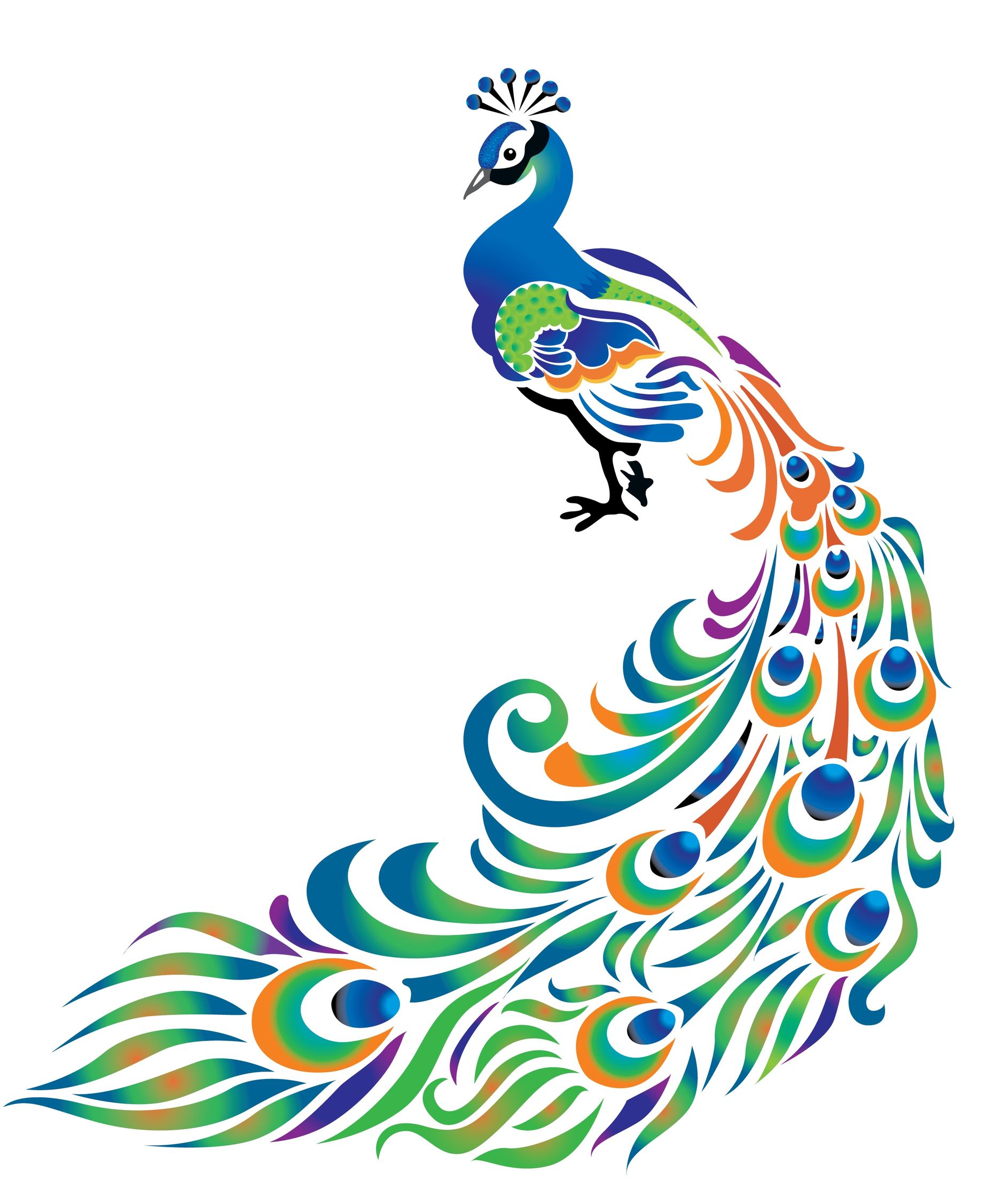 Free Peacock Feather Clip Art   Cliparts Co