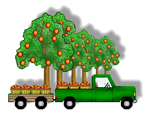 Orange Orchard Clip Art   Green Trucks And Wagons With Oranges