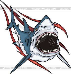 Shark   Color Vector Clipart