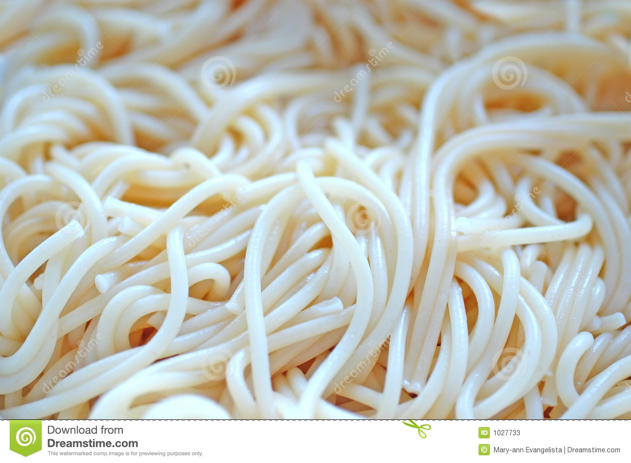 Spaghetti Noodles Stock Photos   Image  1027733