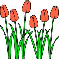 Spring Clipart  Free Graphics Pictures   Images Of Tulips Rain