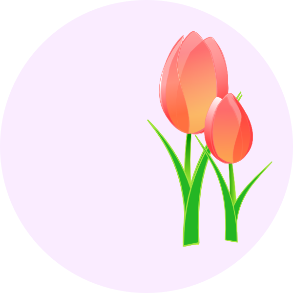 Tulips Clip Art At Clker Com   Vector Clip Art Online Royalty Free    