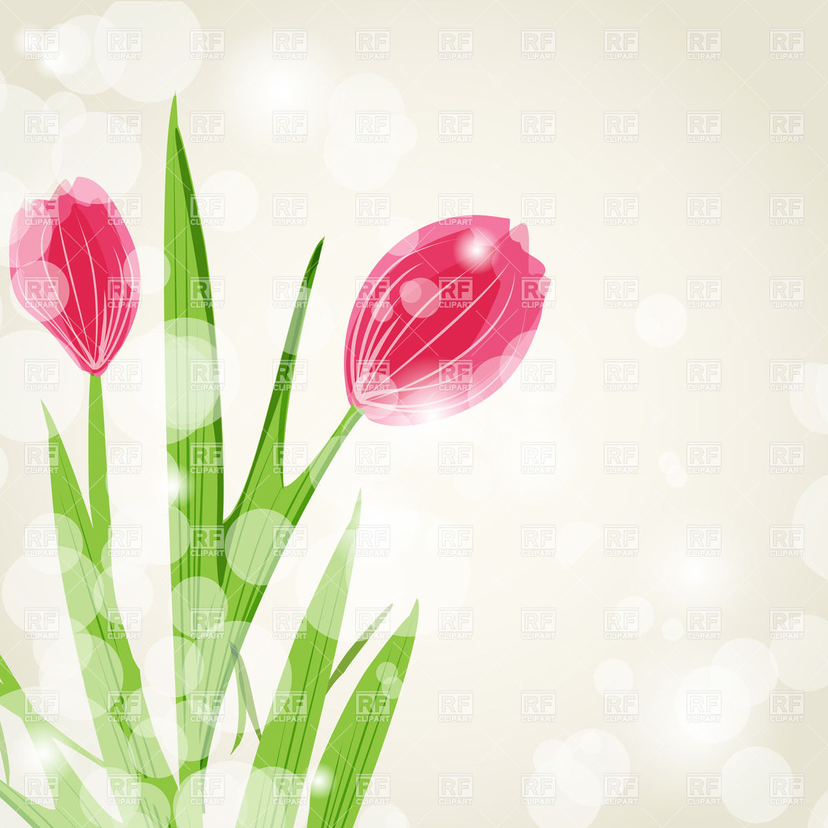 Tulips   Flowers And Light Stains Download Royalty Free Vector
