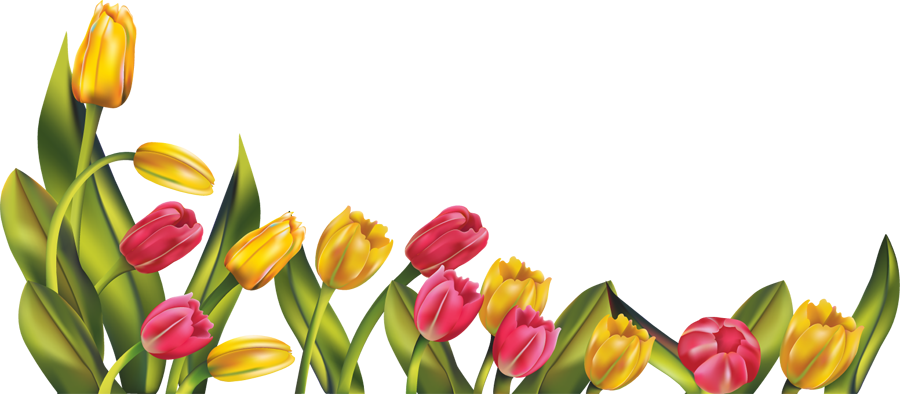 30 Border Flowers Png Free Cliparts That You Can Download To You