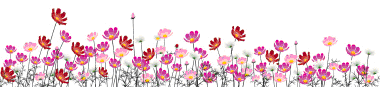 Clipart     Flowers Trees Plants Shrubs Bushes Grass In The Yard