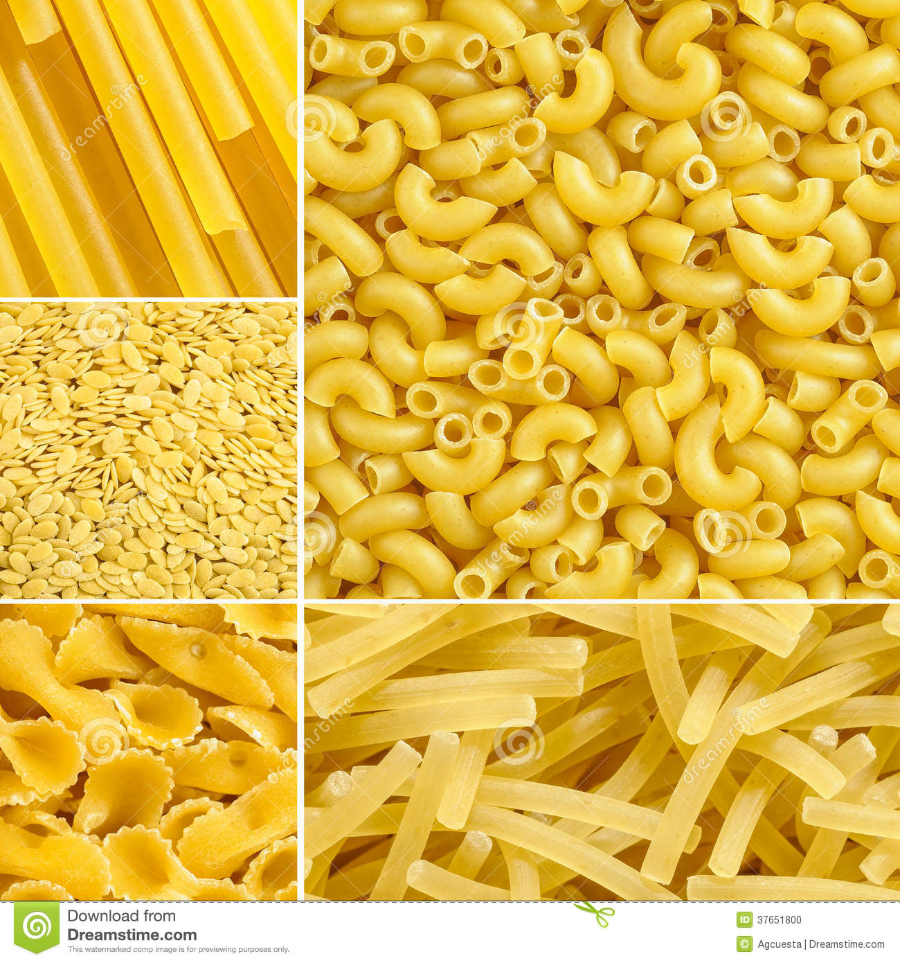 Elbow Spaghetti Farfalle Noodle Pasta Collage Stock Photo   Image