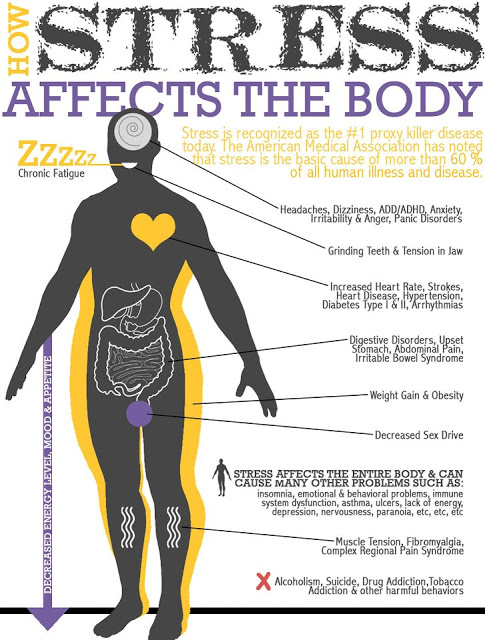 Http   Www Heartmath Com Infographics How Stress Effects The Body    
