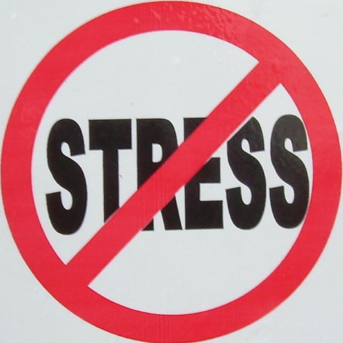 The Martini Chronicles  International Stress Reduction Tips
