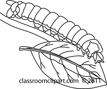 Caterpillar Clipart Black And White