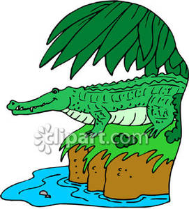 Crocodile On A River Bank   Royalty Free Clipart Picture