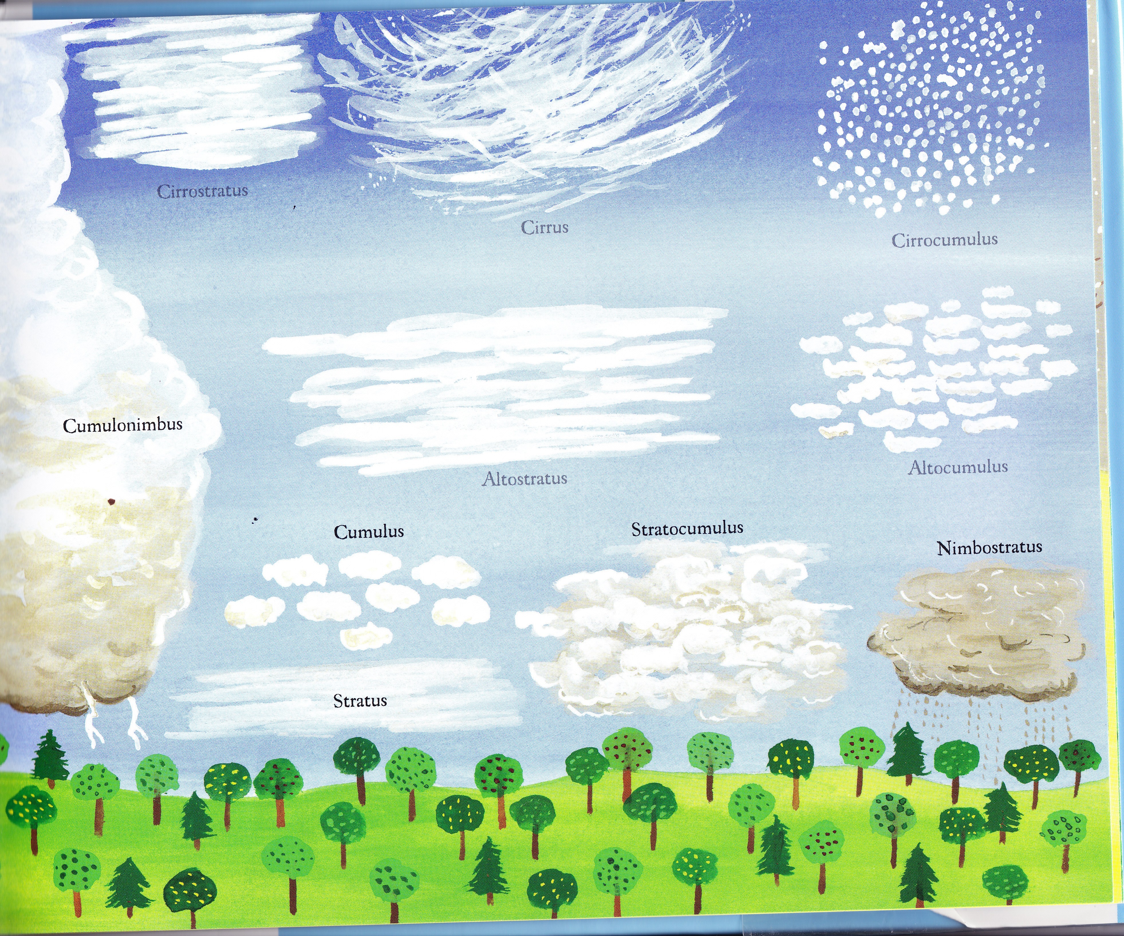 Different Types Of Clouds