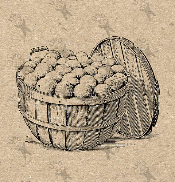 Harvest Fair Fruits Basket Vintage Image Instant Download Digital    