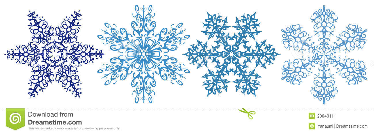 Snowflakes   Winter Flowers F Our Beautiful Snowflake Isolated On
