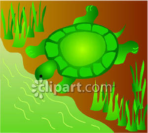 Turtle On The River Bank   Royalty Free Clipart Picture