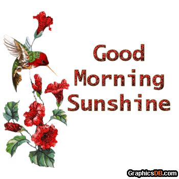 Facebook Good Morning Sunshine Pictures Good Morning Sunshine    
