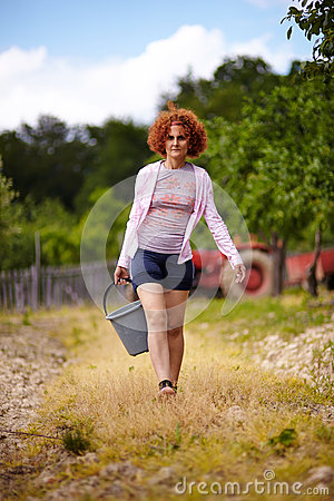 Farmer Lady With A Bucket In An Orchard Royalty Free Stock Photography