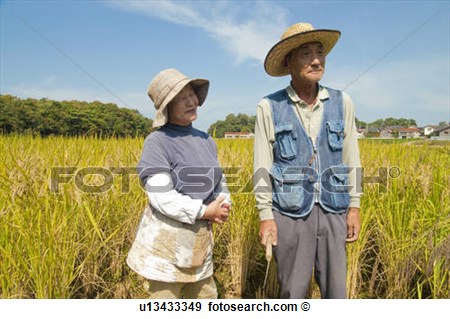 Stock Photograph Of Old Farmer Couple In Rice Field U13433349   Search