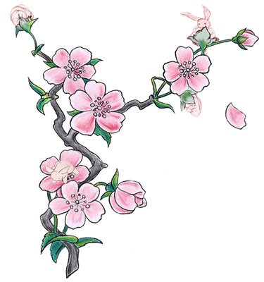 Blossom Illustration Pink Flowers Clipart   Just Free Image Download