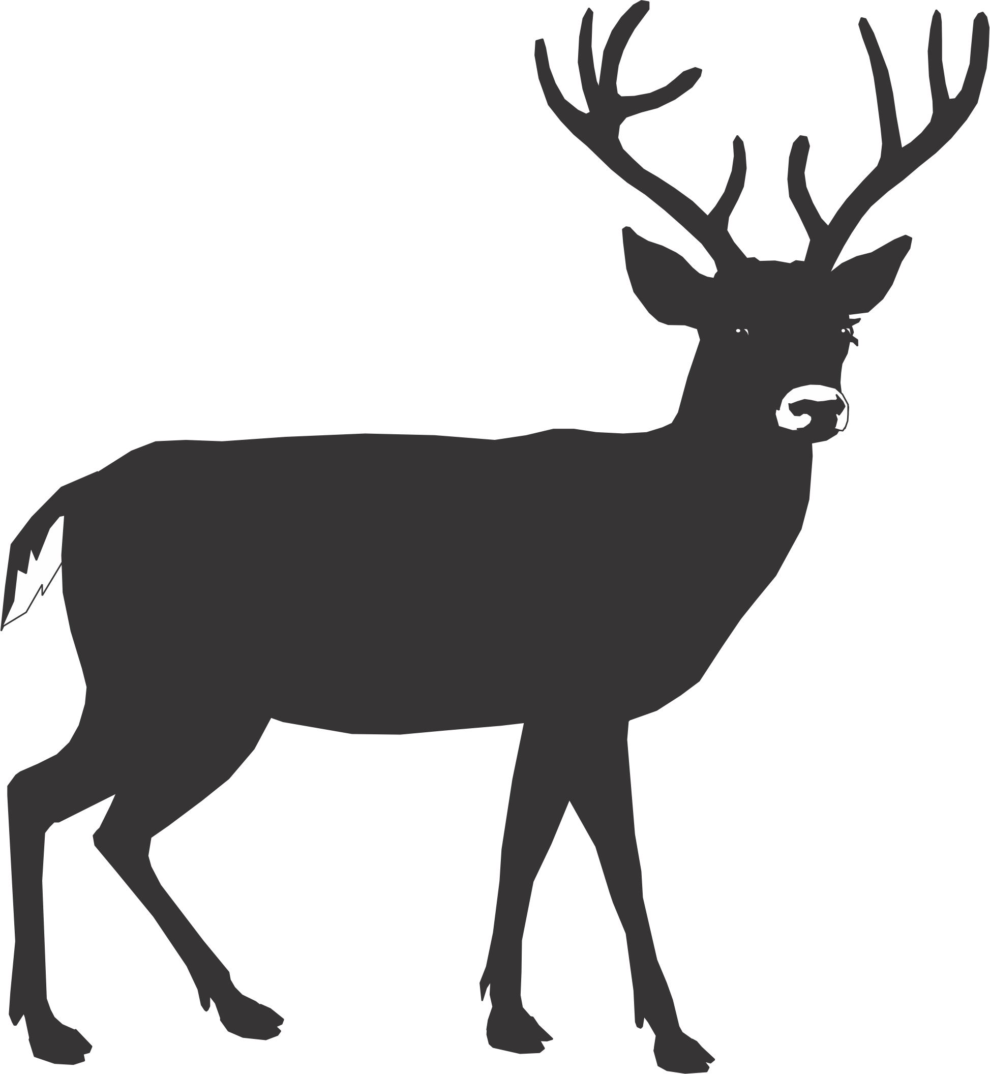 Buck Deer Outline   Clipart Best