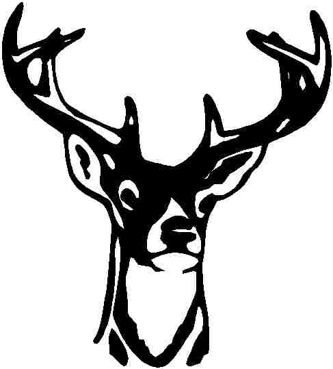 Buck Drawing Free Cliparts That You Can Download To You Computer And