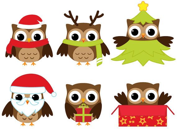 Christmas Owl Clip Art   Kids  Room    Pinterest