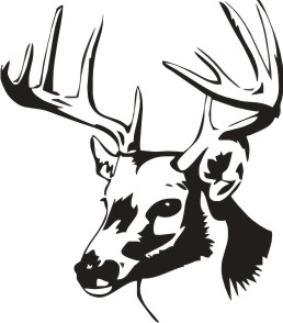Buck Head Free Cliparts That You Can Download To You Computer And