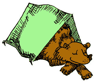 Funny Cartoon Bear Sleeping  Hilarious Bear Has Made Himself At Home