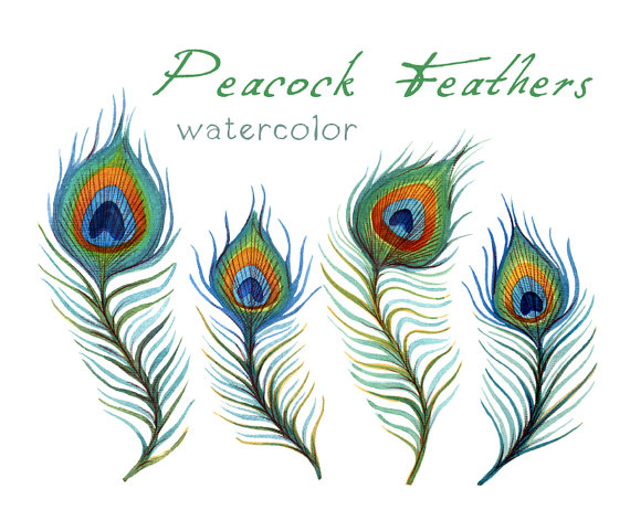 Peacock Feather Border Clipart   Clipart Panda   Free Clipart Images