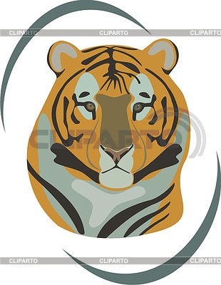 Tiger     Vector Images Com