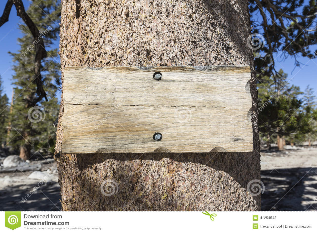 Blank Rustic Wood Sign On Tree Stock Photo   Image  41254543