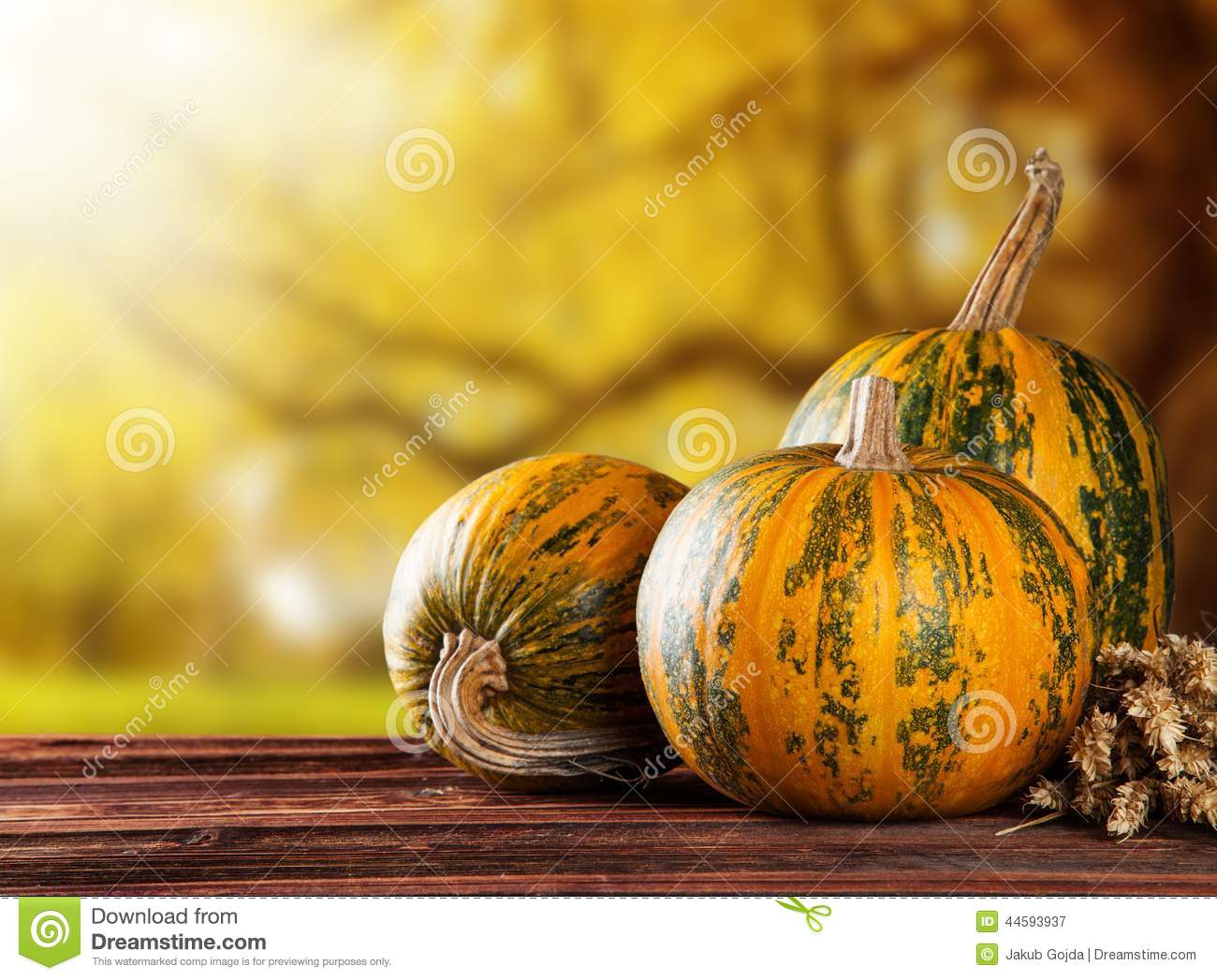 Concept Of Halloween Pumpkins On Wooden Planks With Blur Background 