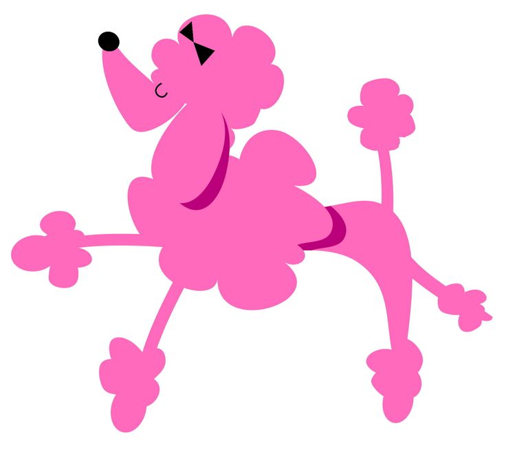 Cute Poodle Graphic     Pink  Poodle   Oodles Of Poodles   Pinter