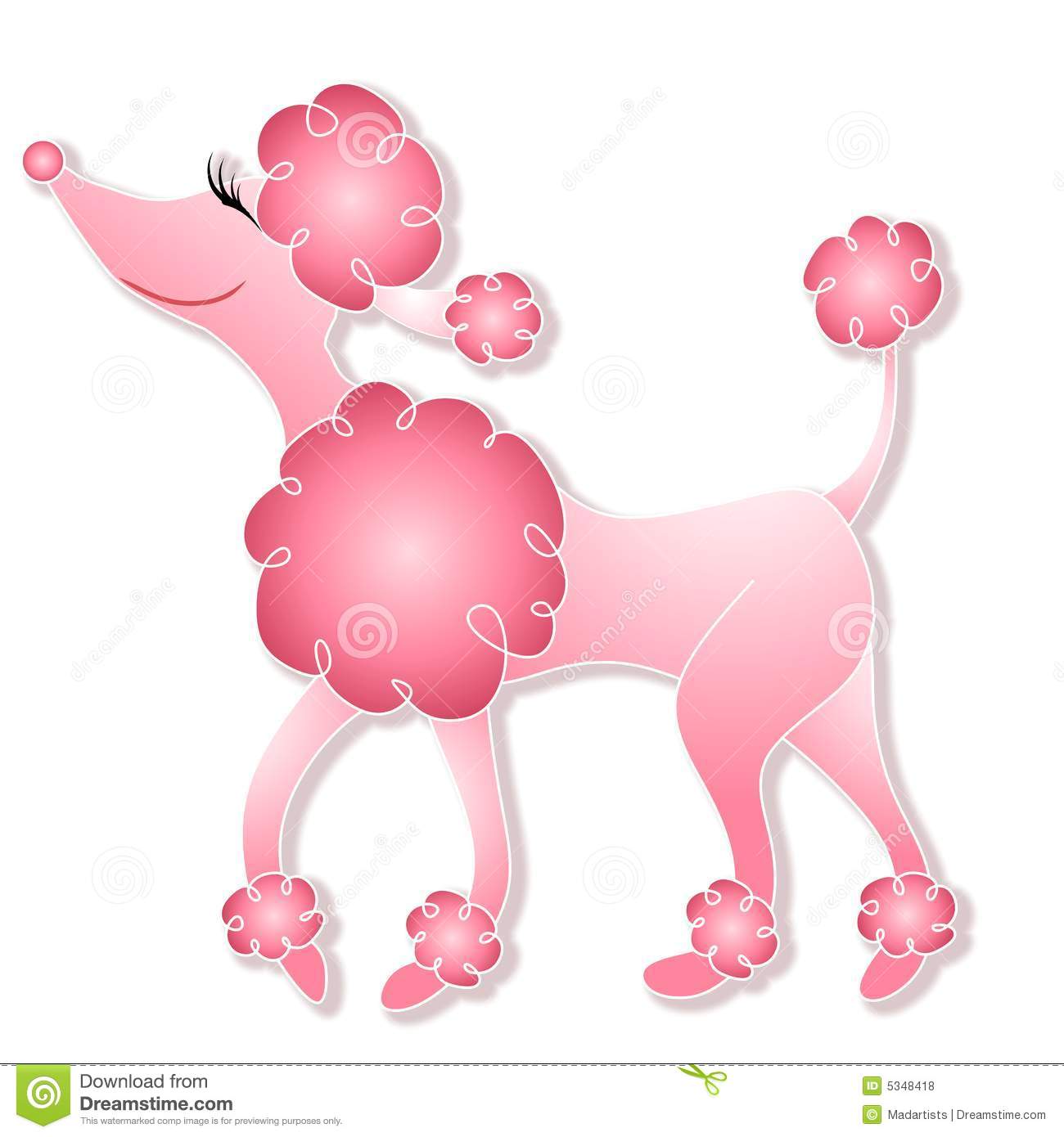 Girly Pink Poodle Walking Royalty Free Stock Photos   Image  5348418