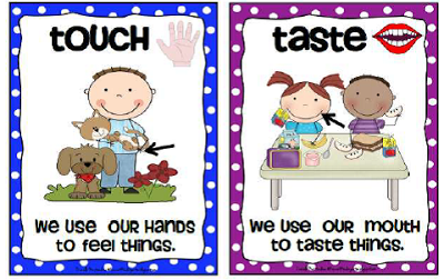 Krazee 4 Kindergarten  5 Senses Poster Set  Free Download