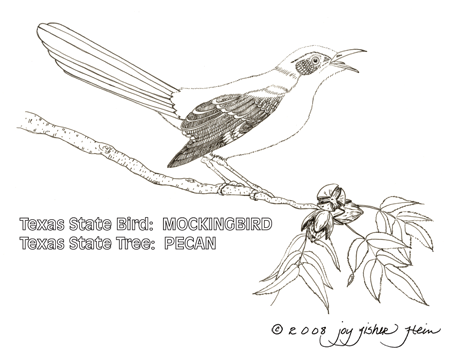 Mockingbird And Pecan Tree  Clip Art Gif File With Transparent