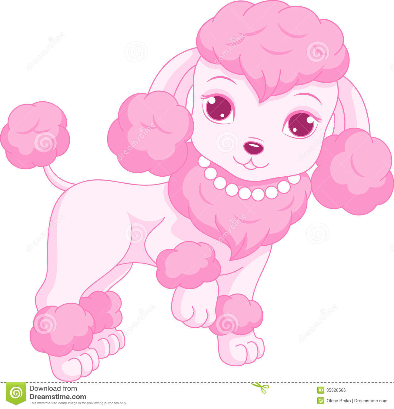 Pink Poodle Royalty Free Stock Image   Image  35320566