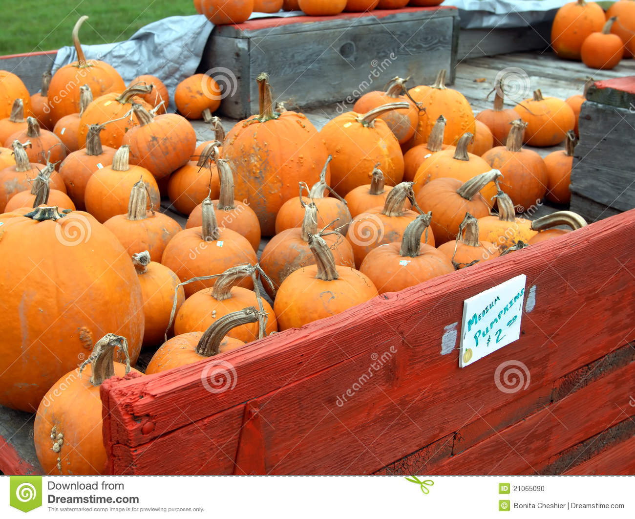 Pumpkins Ride In A Rustic Red Wooden Wagon  Priced To Sale Pumpkins    