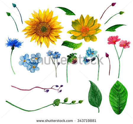 Rustic Clipart   Watercolor Country Flowers   Watercolor Rustic    