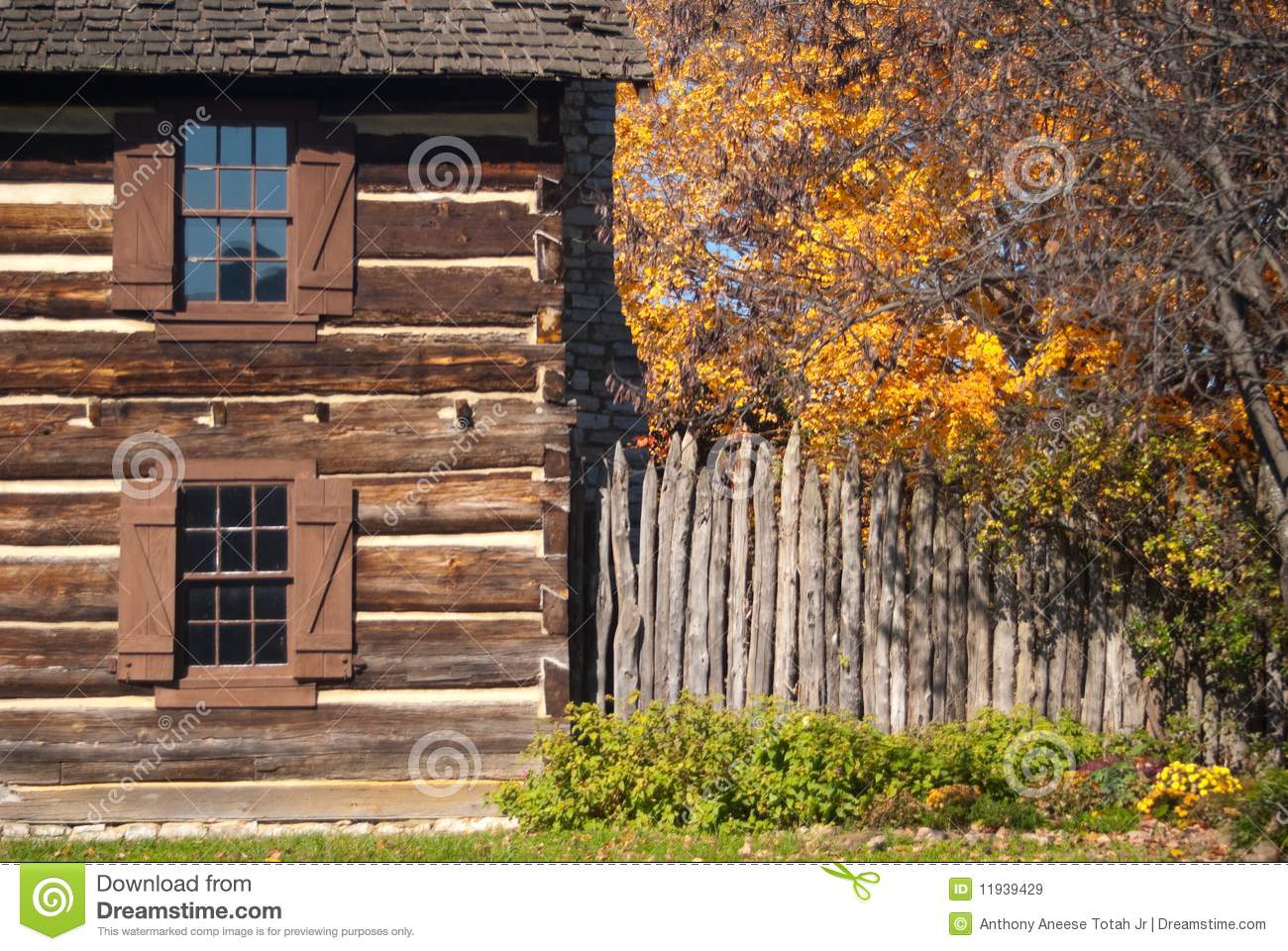 Rustic Fall Setting Of Old Log Cabin With Trees In Fall Color
