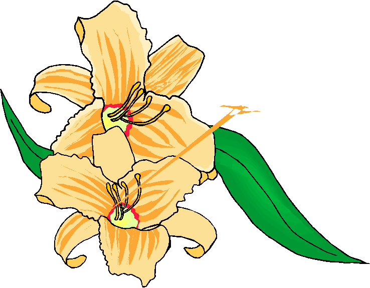 Two Simple Yellow Flowers Clipart   Free Microsoft Clipart
