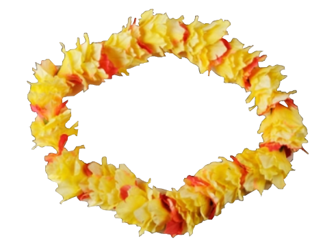 40 Pictures Of Hawaiian Leis Free Cliparts That You Can Download To