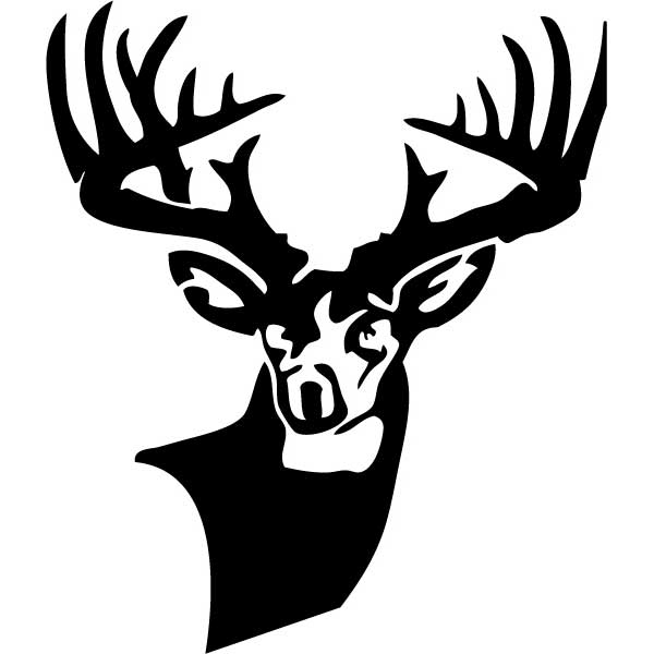 Deer Buck Drawings Black And White Mossyback Woods Monster Pictures