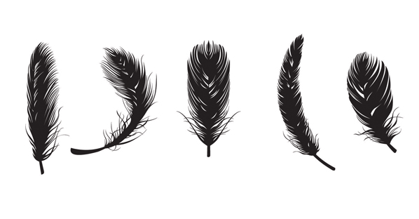 Feather Free Vectors