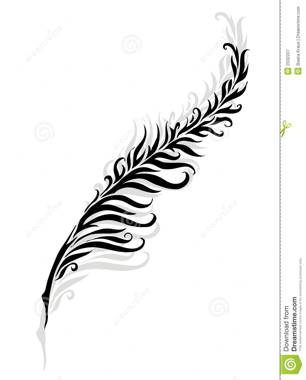 Feather Silhouette Royalty Free Stock Photography   Image  2032207