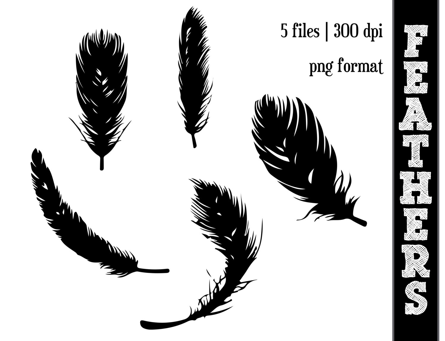 Indian Feather Silhouette Feather Silhouettes