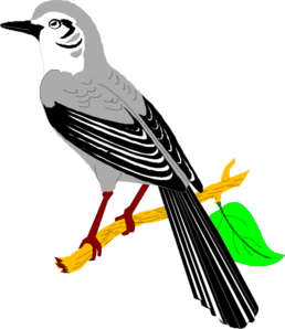 Mockingbird Clip Art