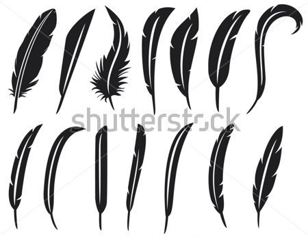     Of Feathers  Feather Collection Feather Silhouette Feather Set