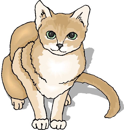 Brown And White Cute Cat Free Animal Clipart