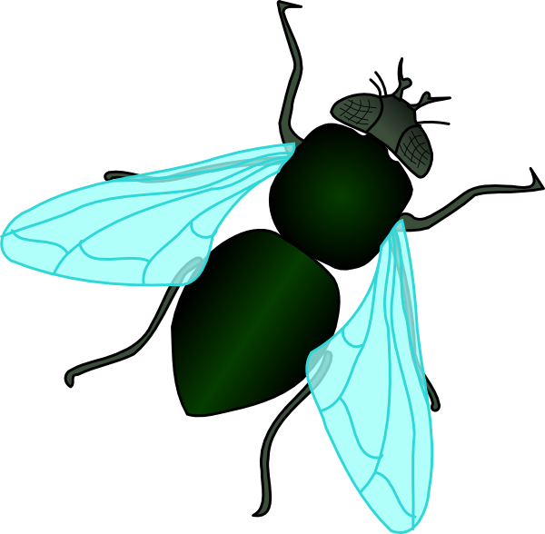 House Fly Clipart Download This Image As